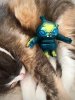 IMG_0620.jpeg